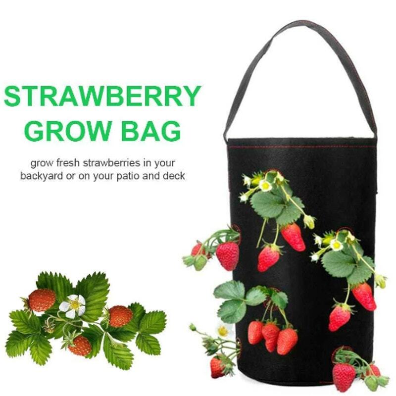 Hanging Strawberry Grow Bag with Hooks