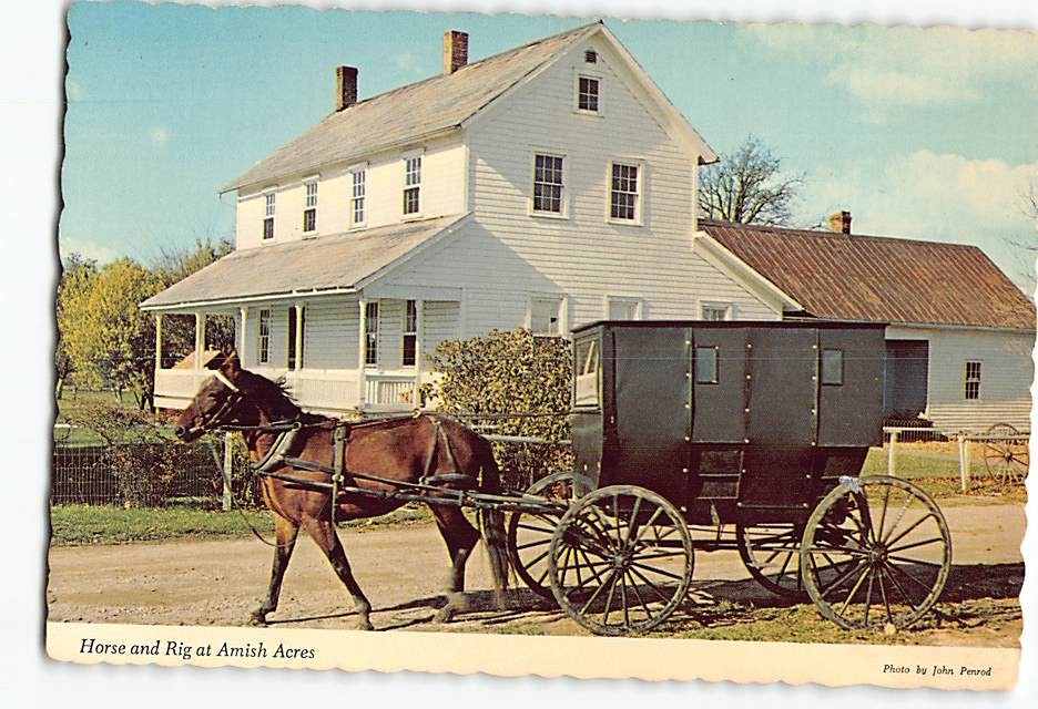 Postcard Horse & Rig at Amish Acres Nappanee Indiana USA
