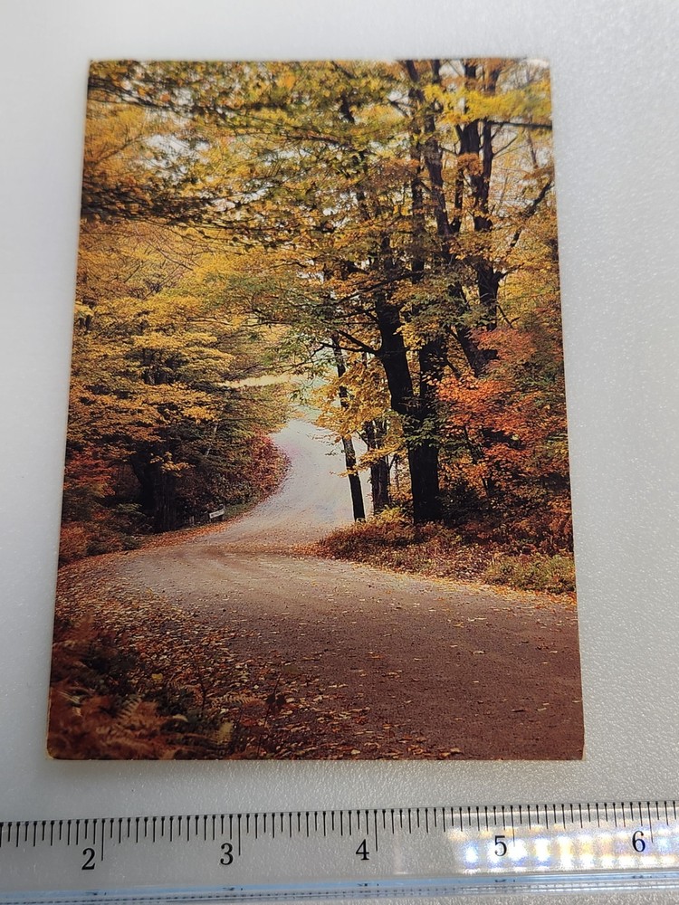 Vermont Country Road in Fall 19 Cent Stamp Vtg Postcard Posted VT 1992