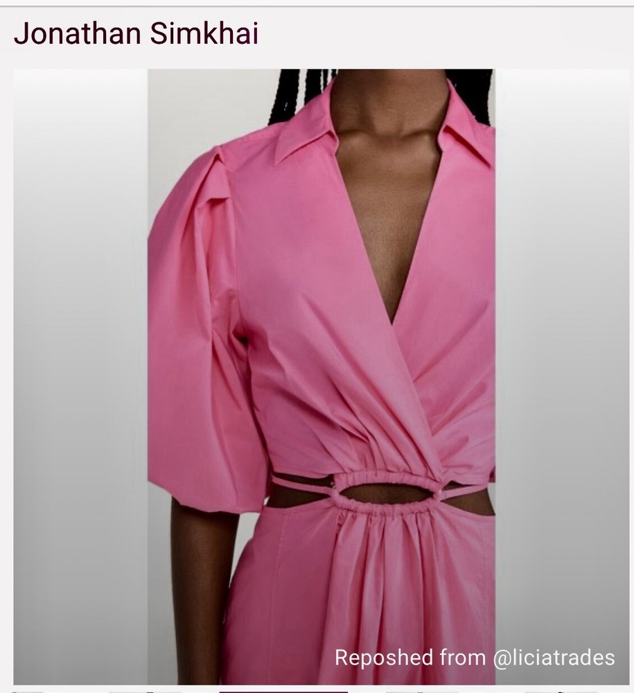 Jonathan Simkhai Pink Cutout Dress NWT