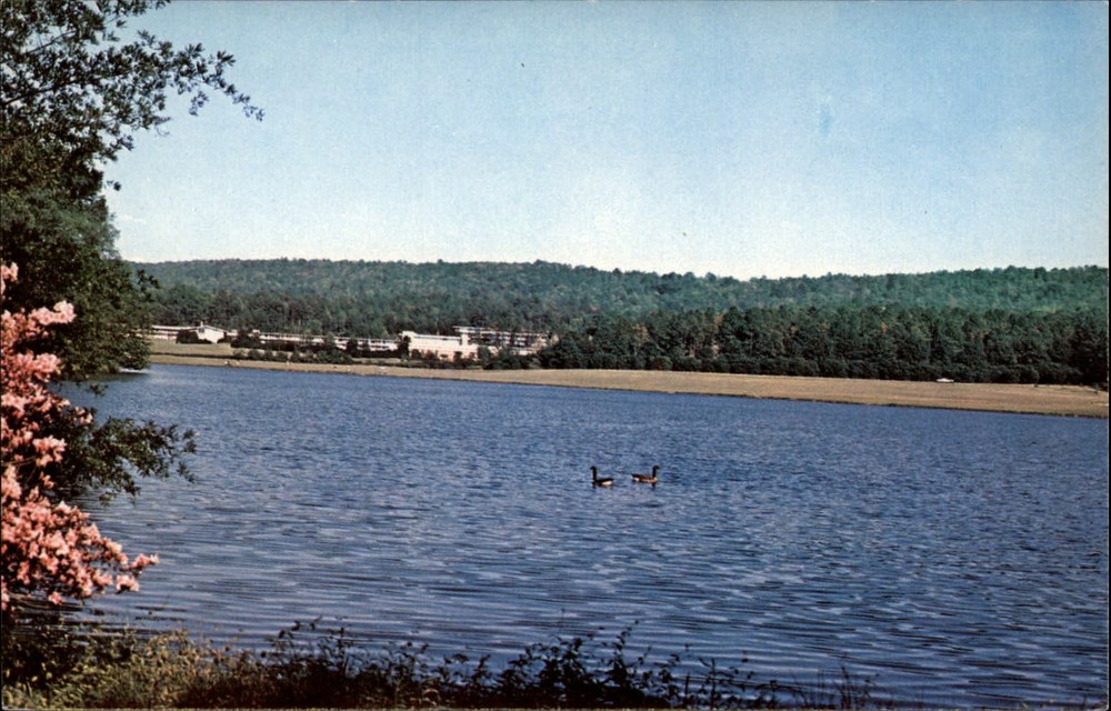 Pine Mountain Georgia Mountain Creek Lake Canada geese vintage unused postcard