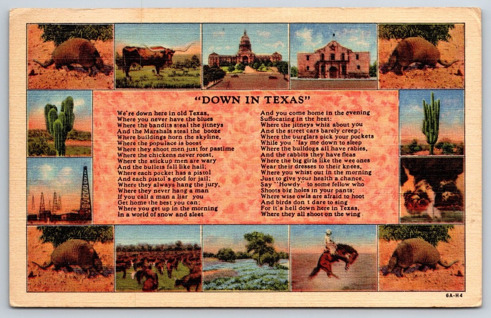 Down In Texas~Poem W/ Multi-View~Armadillo~Longhorn Cattle~Vtg Linen Postcard