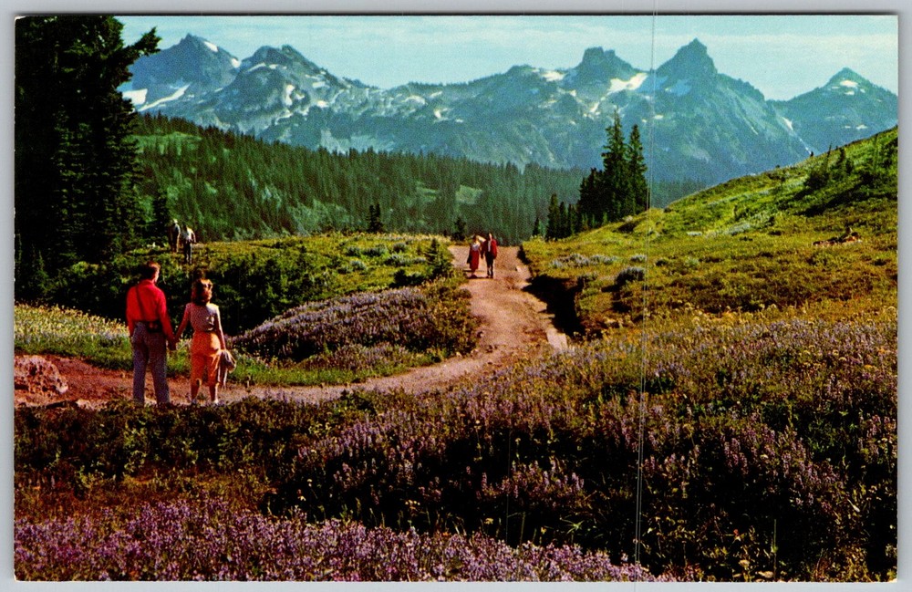 Vtg Postcard Paradise Inn Mount Rainier National Park, WA 1950s