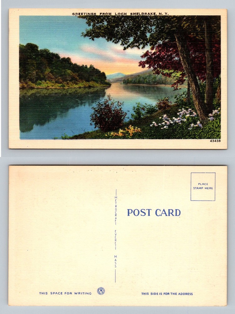 Loch Sheldrake, NY-New York, Greetings Scenic Lake & Mtn View Vintage Postcard