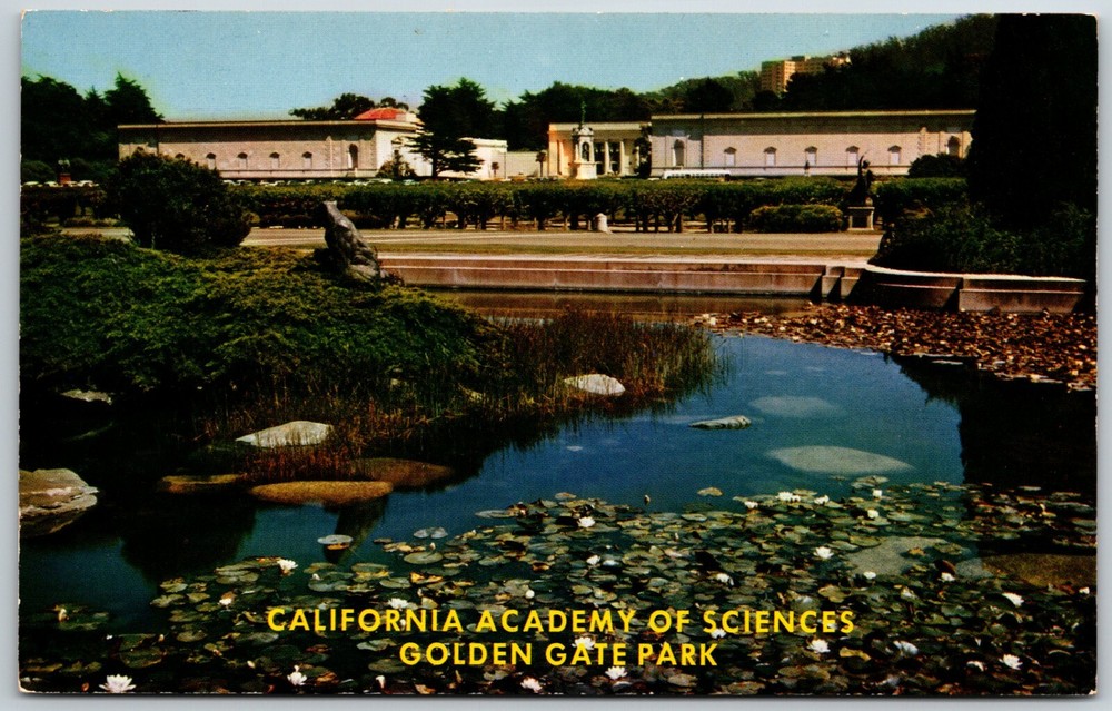 California Academy of Sciences, Golden Gate Park, San Francisco, CA - Postcard-image