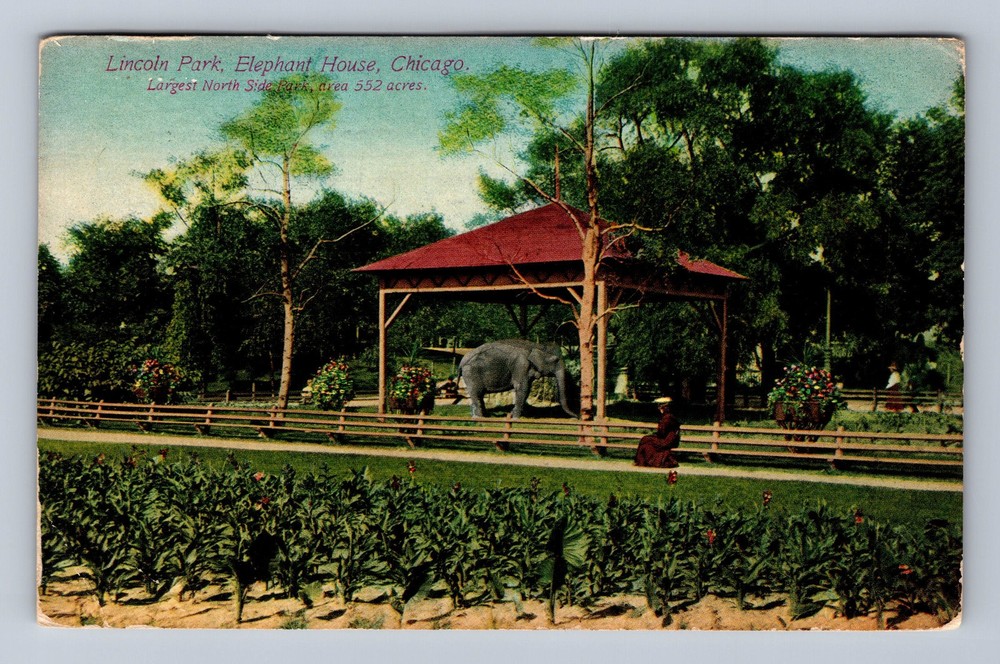 Chicago IL-Illinois Lincoln Park Elephant House Vintage c1911 Postcard