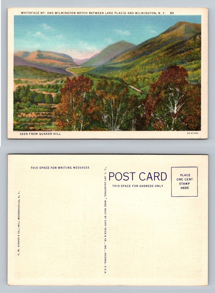 Lake Placid, NY-New York, Whiteface Mt Scenic View Postal Vintage Postcard