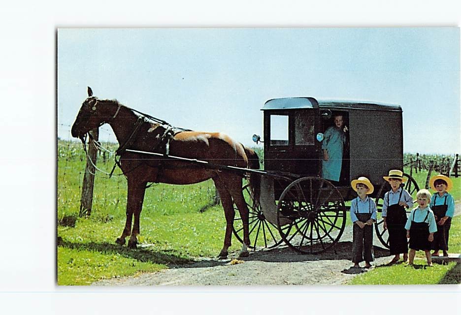 Postcard Greetings From The Amish Country Horse Buggy Children Vintage
