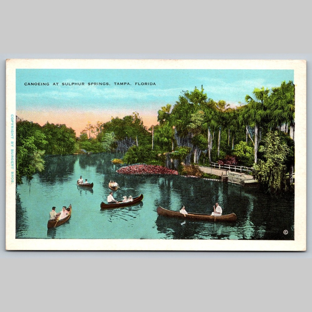 Postcard Canoeing at Sulphur Springs Tampa Florida Scenic View
