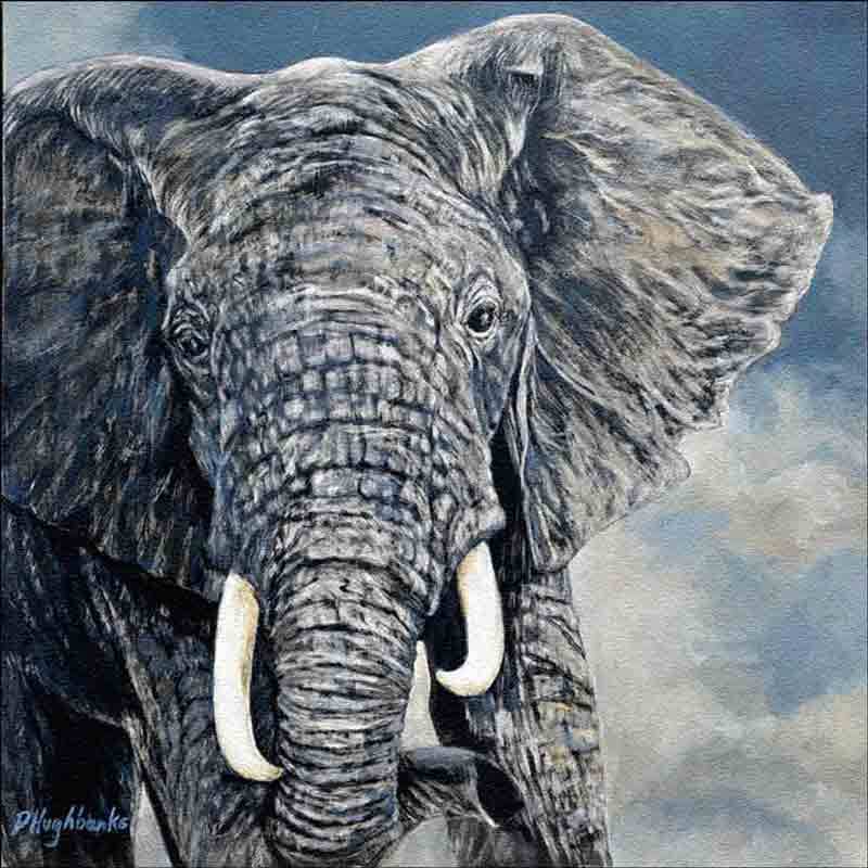 Elephant Glass Tile Wall Floor Debbie Hughbanks Backsplash Art DHA054AT