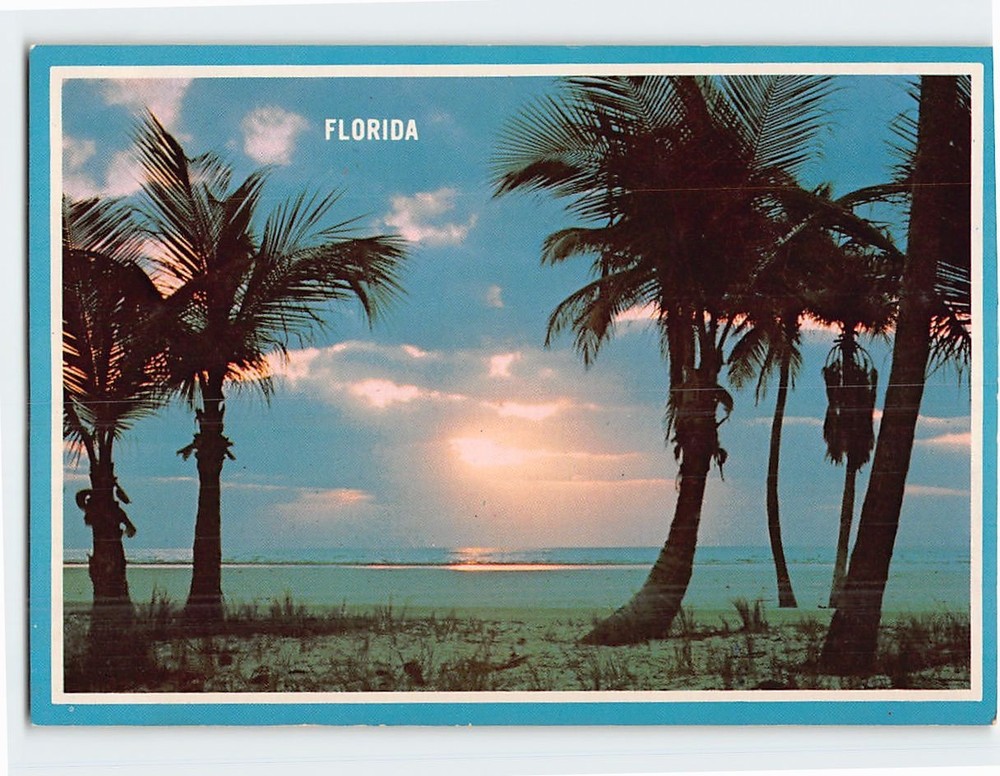Postcard Palm Trees Beach Scene Florida USA
