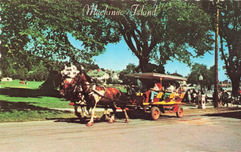 Horse & Carriage Tour - Mackinac Island Michigan MI - Postcard