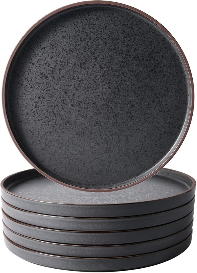 Dinner Plates,Ceramic Dinner Plates Set of 6,10.75 inch Large ceramic plates