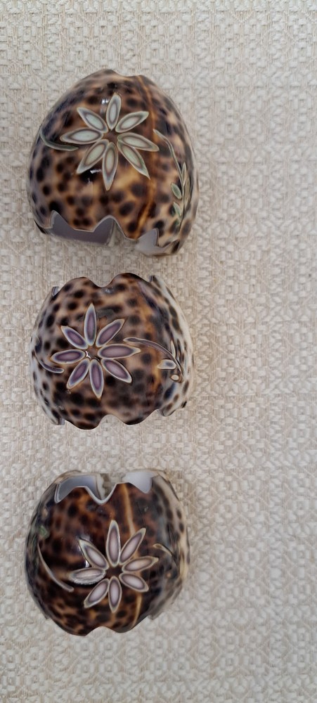 Tiger Cowrie Seashell Napkin Rings Coastal Beach Ocean Decor carved Spotted BN