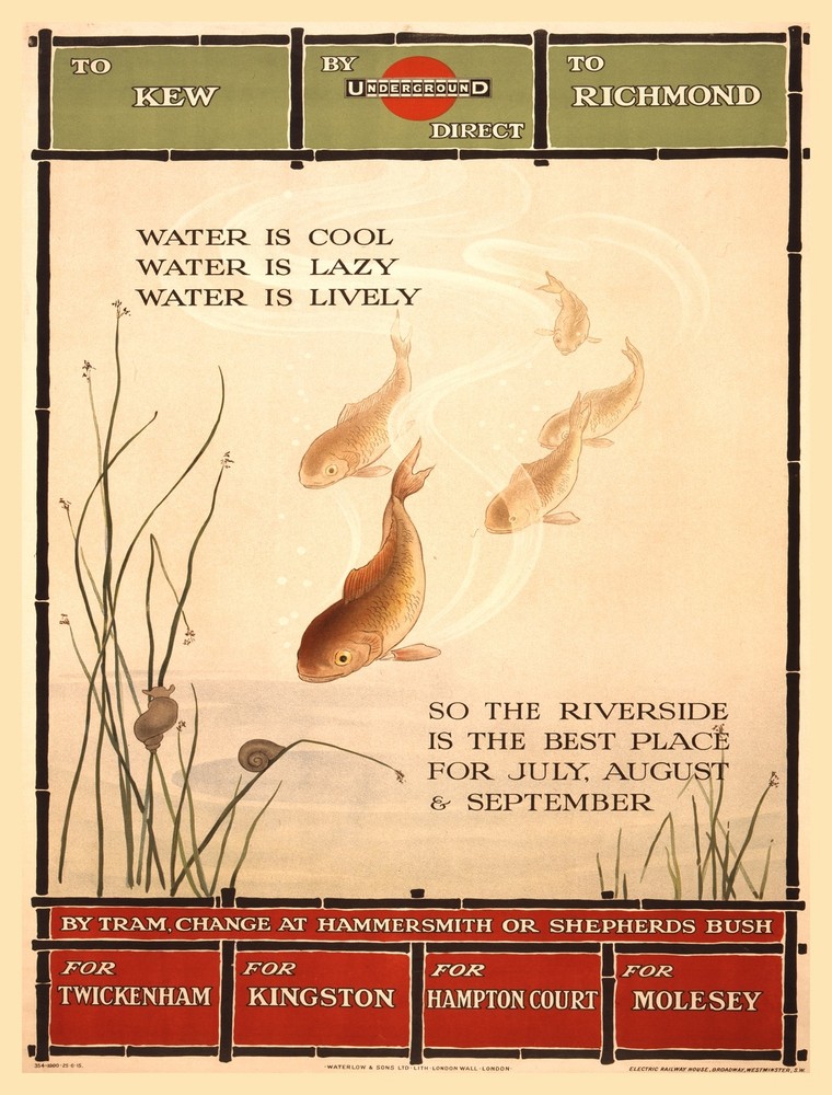 9727.Decoration Poster.Room Wall art.Home interior decor.River fish.Water cool