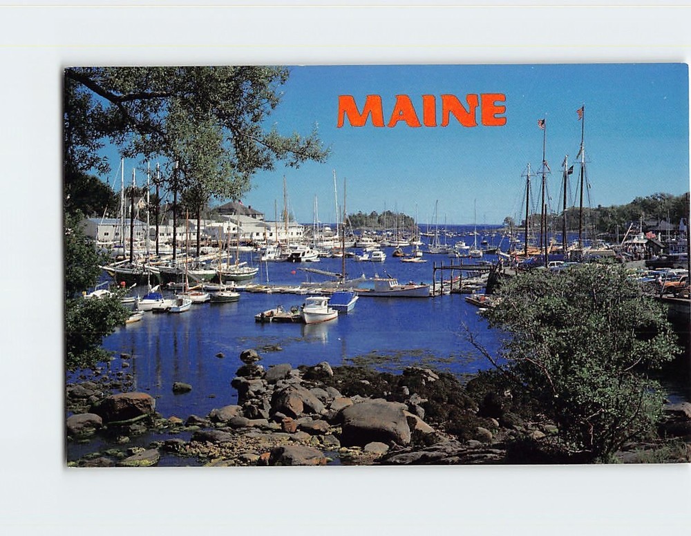Postcard Scenic Harbor Camden Maine USA