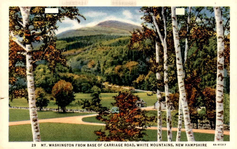 Mt. Washington from Carriage Road, White Mountains, New Hampshire Postcard