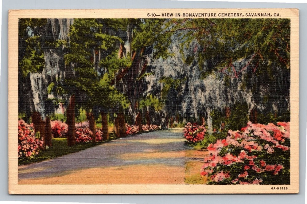 Vintage Linen Postcard Bonaventure Cemetery Savannah GA Spanish Moss