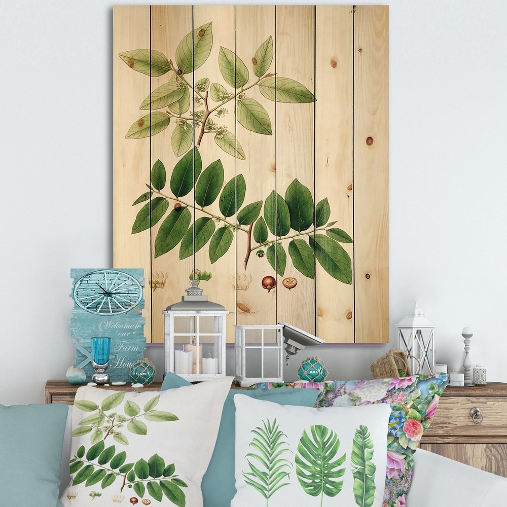 Designart 'Vintage Botanicals XIV' Farmhouse Print on