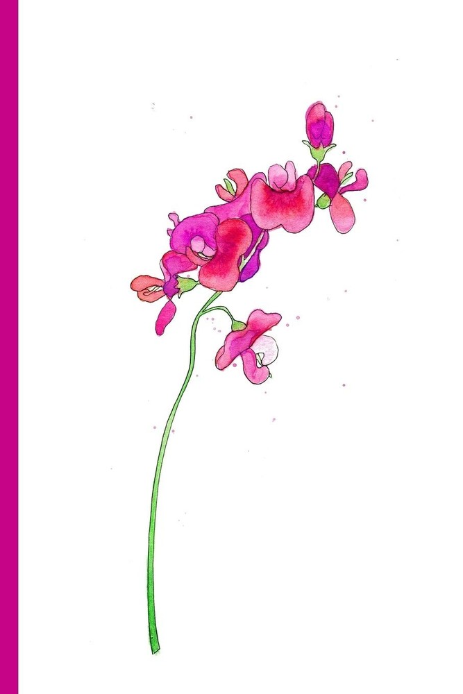 Notes: A Blank Lined Journal with Watercolor Sweet Pea Cover