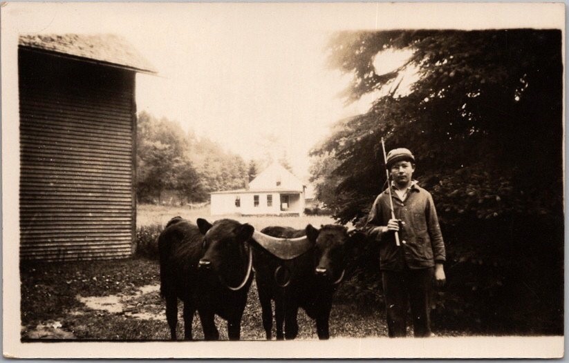 Vintage 1910s Real Photo RPPC Postcard Farm Scene - 