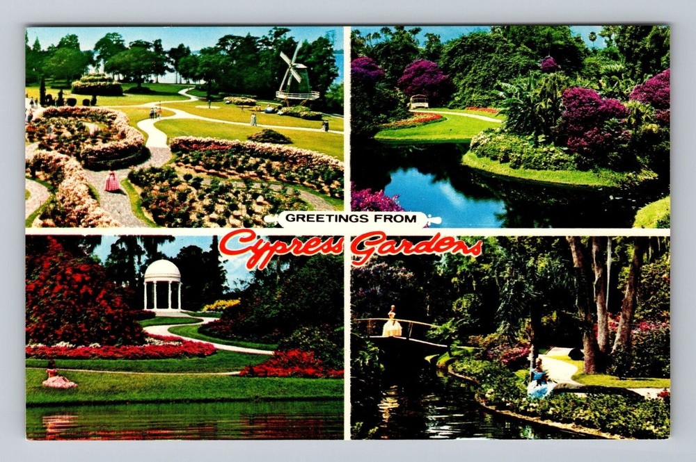 Cypress Garden FL-Florida Greetings from Cypress Gardens Vintage Postcard
