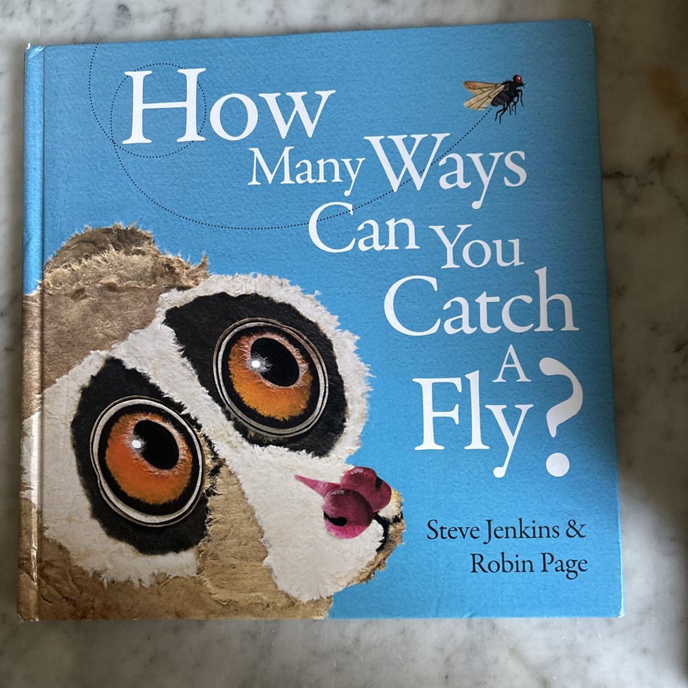 How Many Ways Can You Catch A Fly By Steve Jenkins And Robin Page
