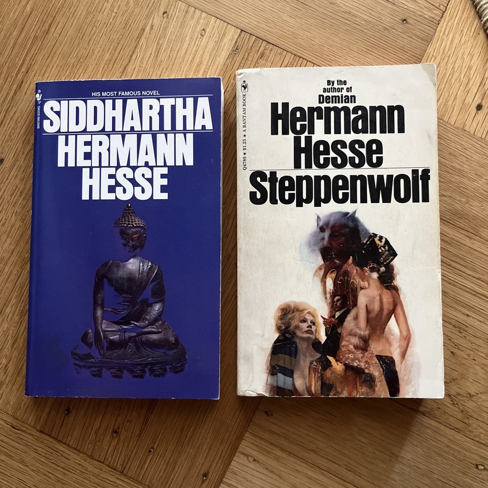 Steppenwolf, Siddhartha by Herman Hesse (1990, Trade Paperback)