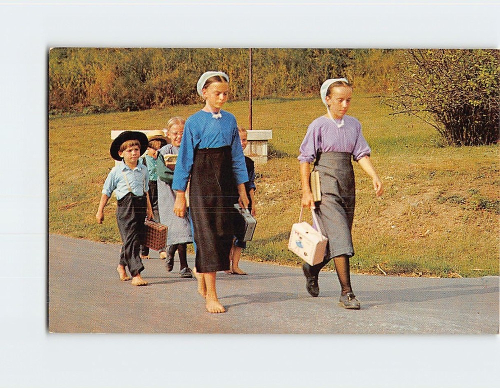 Postcard A Group of Amish Children Pennsylvania Dutch Country USA