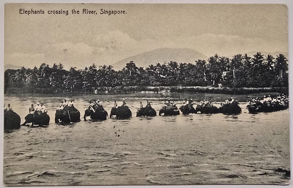 1924 Singapore Postcard Elephants Crossing River Straits Settlements Sarawak Oil