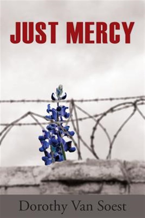 Just Mercy, Used Good Condition, Free shipping in the US