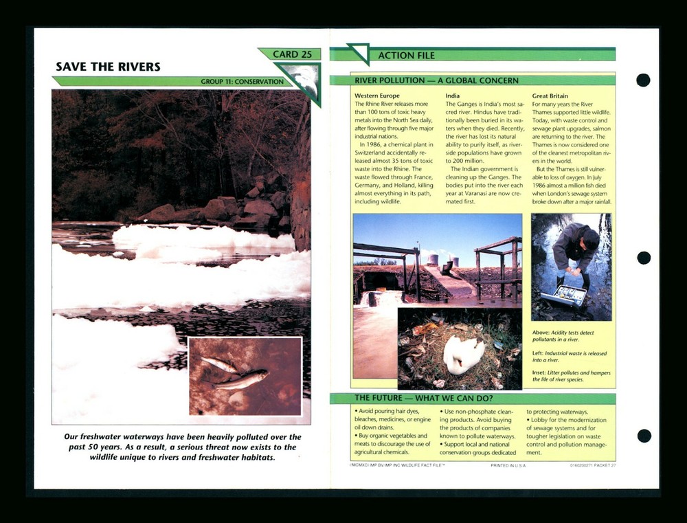 Save Rivers Wildlife Conservation Fact Cards Homeschool 11.25 Activity  