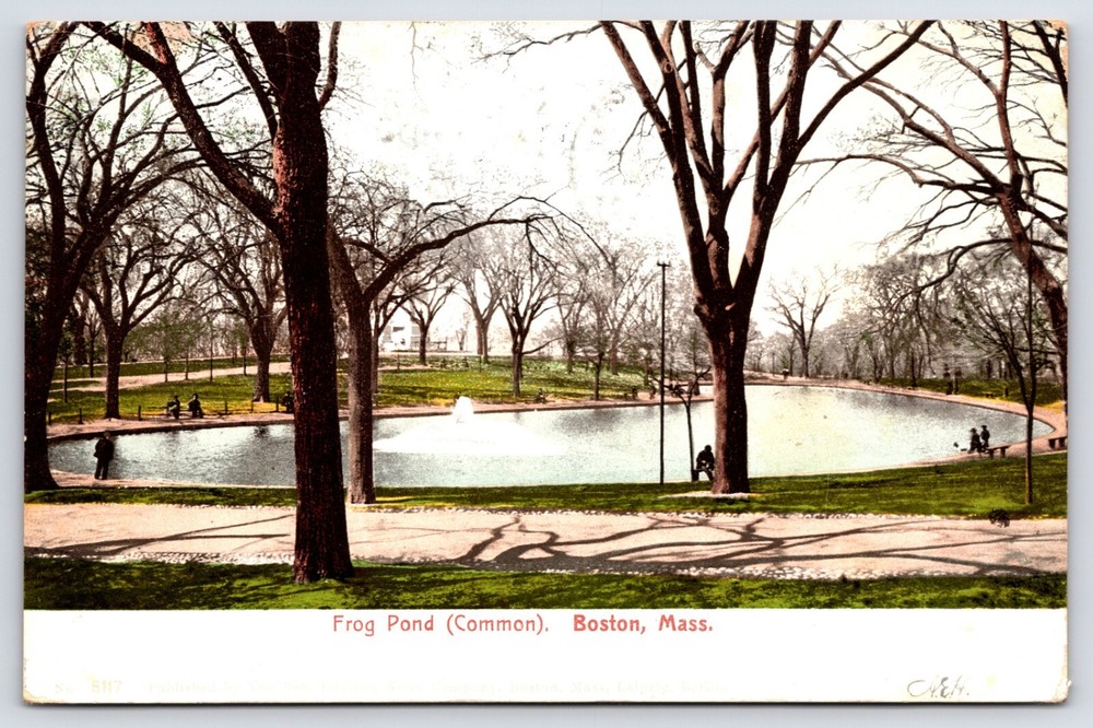 Boston Massachusetts Ma Common Frog Pond People Antique Vintage Postcard 1905