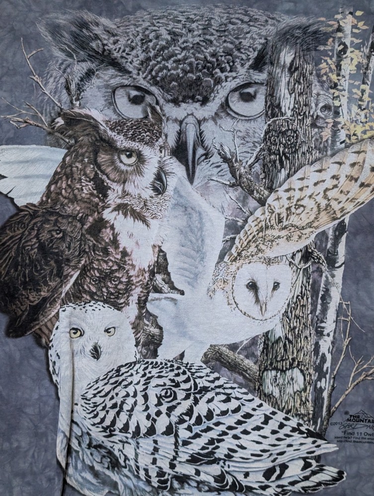The Mountain Mens T-shirt Grey Find 11 Owls Retired Logo 2XL #6288