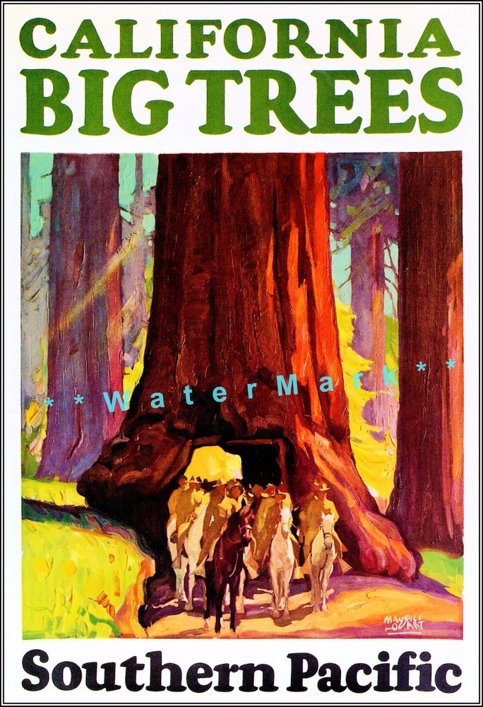 California Redwoods 1927 Big Trees Vintage Poster Print Southern Pacific Rail