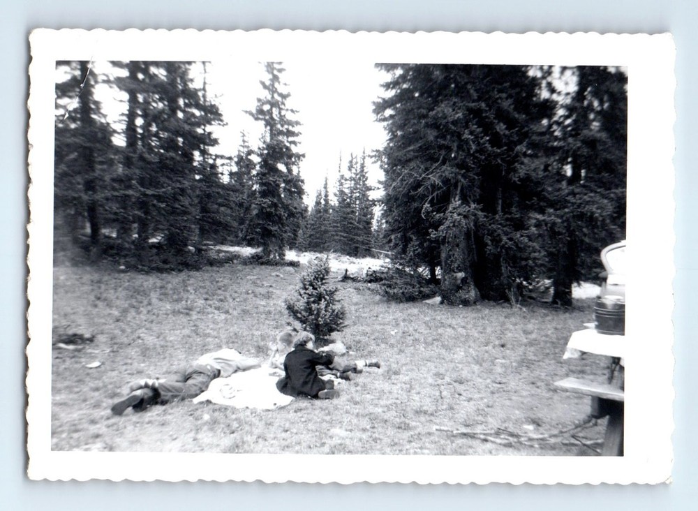 Old Vintage Photo PICNIC TABLE IN FOREST BOY GIRL MAN SLEEPING SNAPSHOT