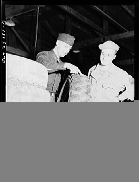 Baltimore Maryland Holabird Ordnance Depot 1940s Soldiers Inspecting Tire