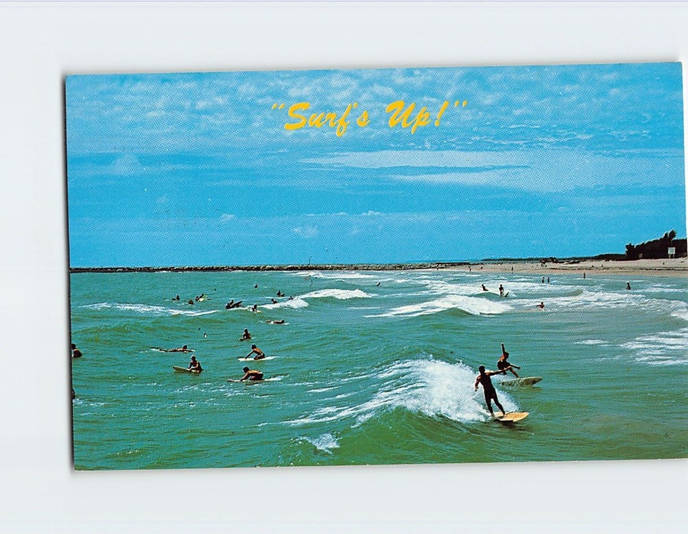 Postcard Surf's Up! Florida USA