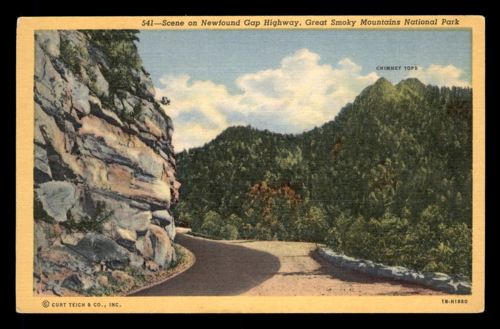 Scene On Newfound Gap Highway Great Smokey Mountains National Park Unp Postcard