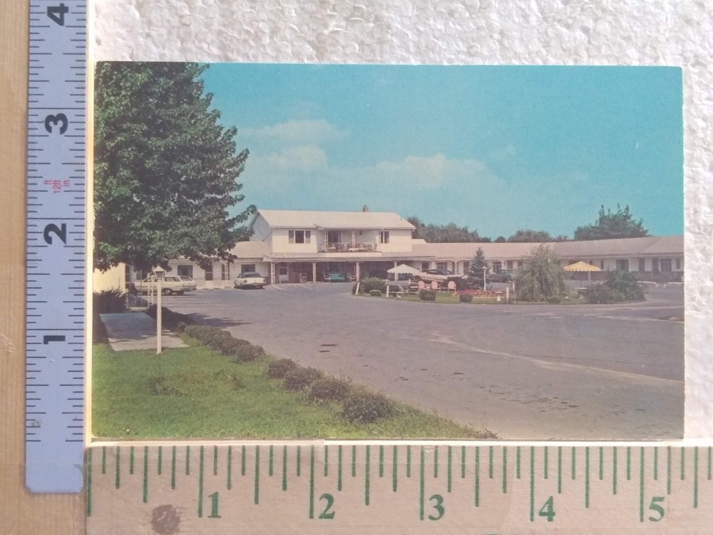 Postcard Wheatland Motel Martinsburg West Virginia USA