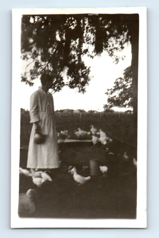 Old Vintage Photo WOMAN CHICKENS ID'D NAME H H BOONE WHITE LEGHORN PULLETS