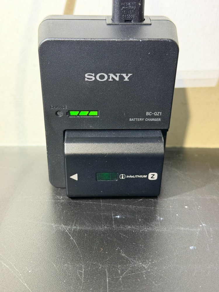 Sony BC-QZ1 Battery Charger and 1  Sony NP-FZ100 Battery