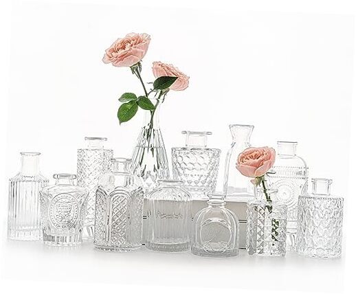 12pcs Glass Bud Vase Set, Small Flower Vases for Centerpieces in 12Pcs Clear