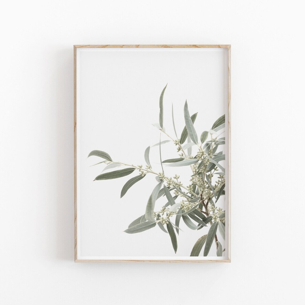 Eucalyptus Botanical Wall Art Poster Premium Quality Choose your Size