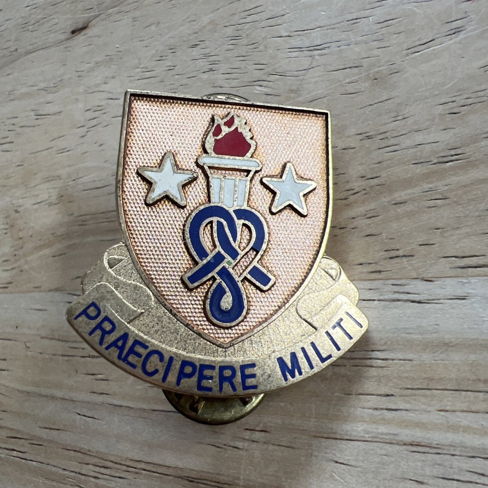 Gold Toned Soldier Support Institute Unit Crest (Praecipere Militi) Pin
