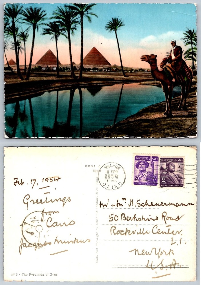 1954 Giza Pyramids Egypt Postcard Camel Rider Palm Trees Cairo Postmark