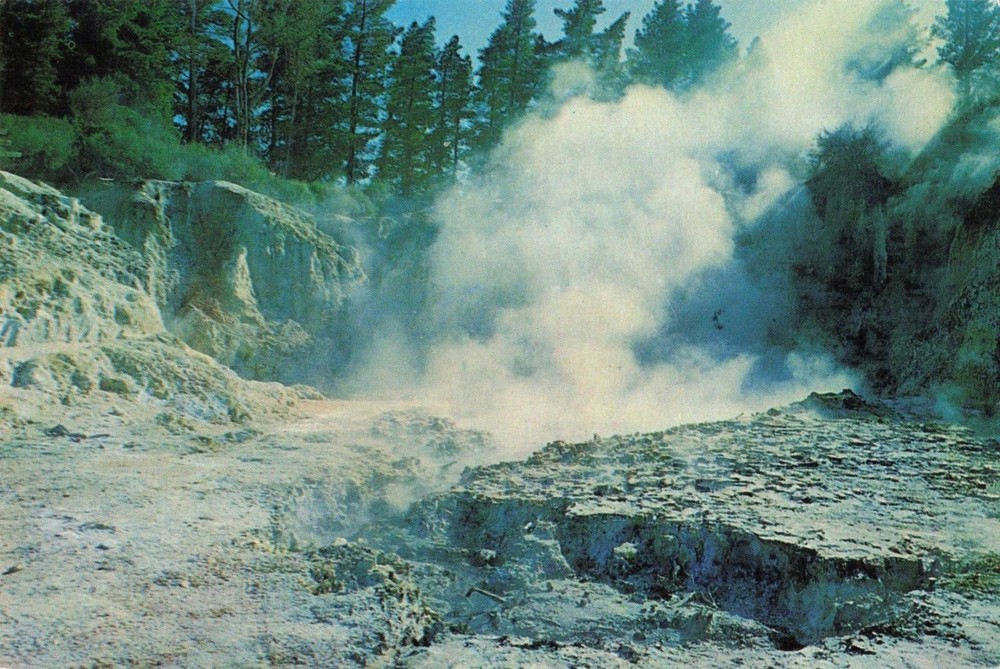 Rotorua New Zealand, Volcanoes & Pools, Tikitere, Vintage Postcard
