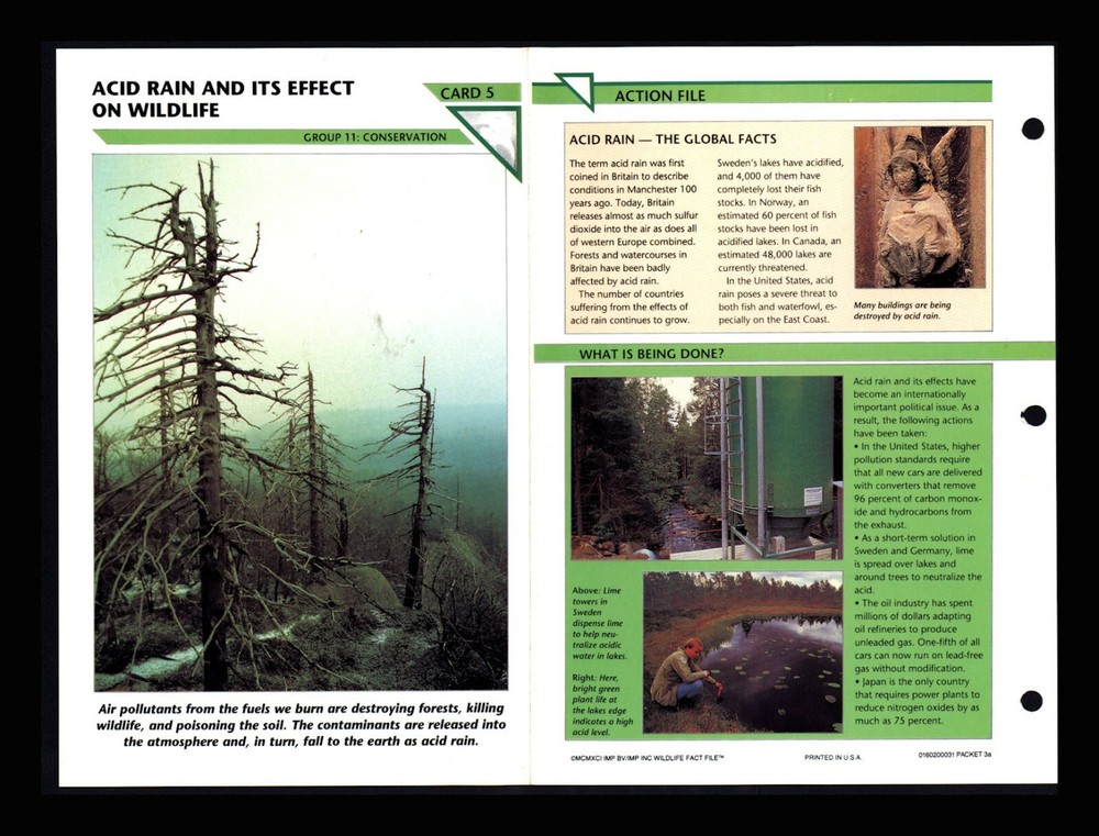 Acid Rain Impact on Wildlife Educational Conservation Fact Card 11.5 Home School-image