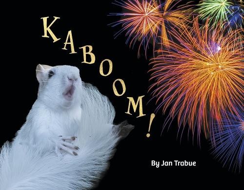 Jan Trabue Kaboom! (Paperback)Another great item from Rarewaves USA | Free delivery!