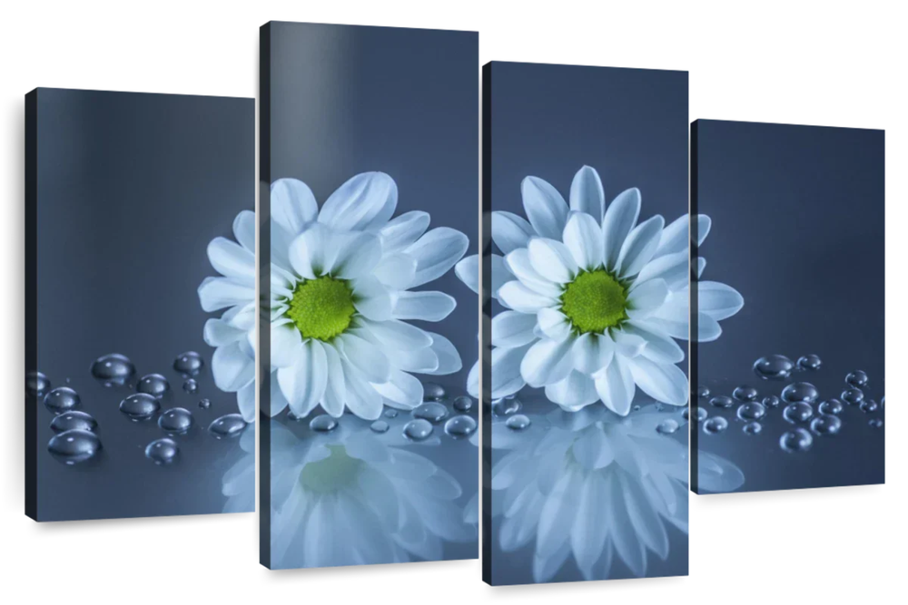 White Daisies Wall Art